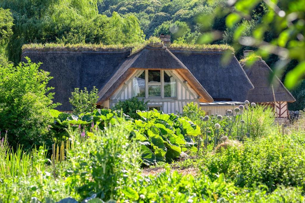 Κήπος έξω από το La maison du fermier - Chaumière normande d'exception avec jardin - Saint Wandrille