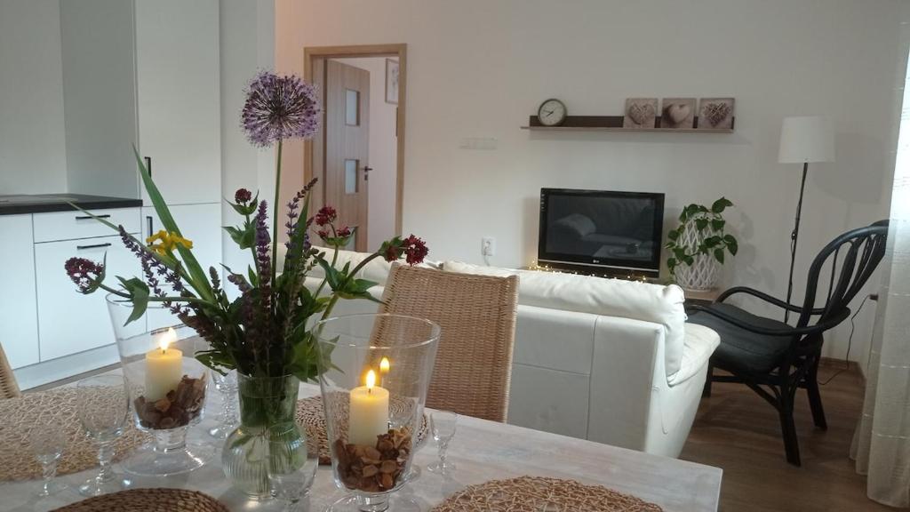 Μια τηλεόραση ή/και κέντρο ψυχαγωγίας στο Apartmán v Podhradí Boskovice