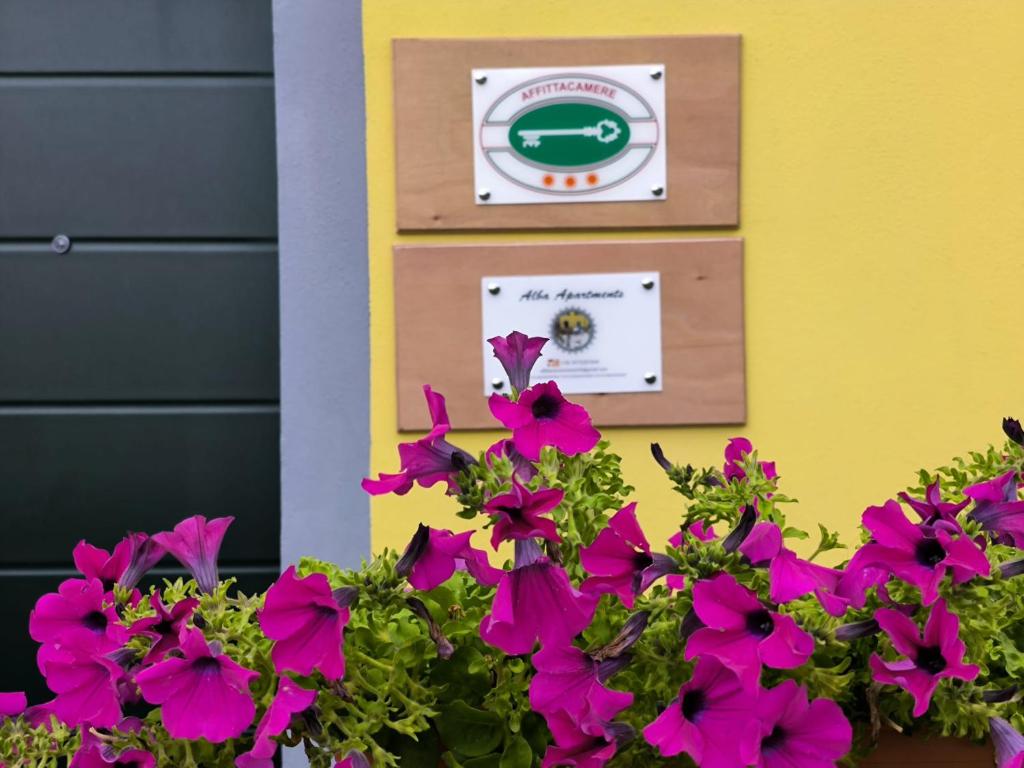 Fotografie z fotogalerie ubytování Alba apartments v destinaci Biassa