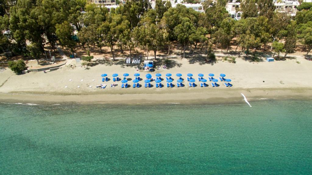 einen Strand mit blauen Sonnenschirmen und Stühlen am Strand in der Unterkunft Park Beach Hotel in Limassol