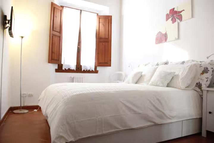 Apt S Maria near Boboli e Santo Spirito