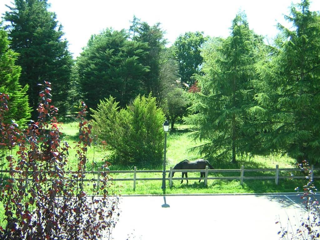 a horse grazing in a field next to a fence at Posada Casa de Julia in Parbayón