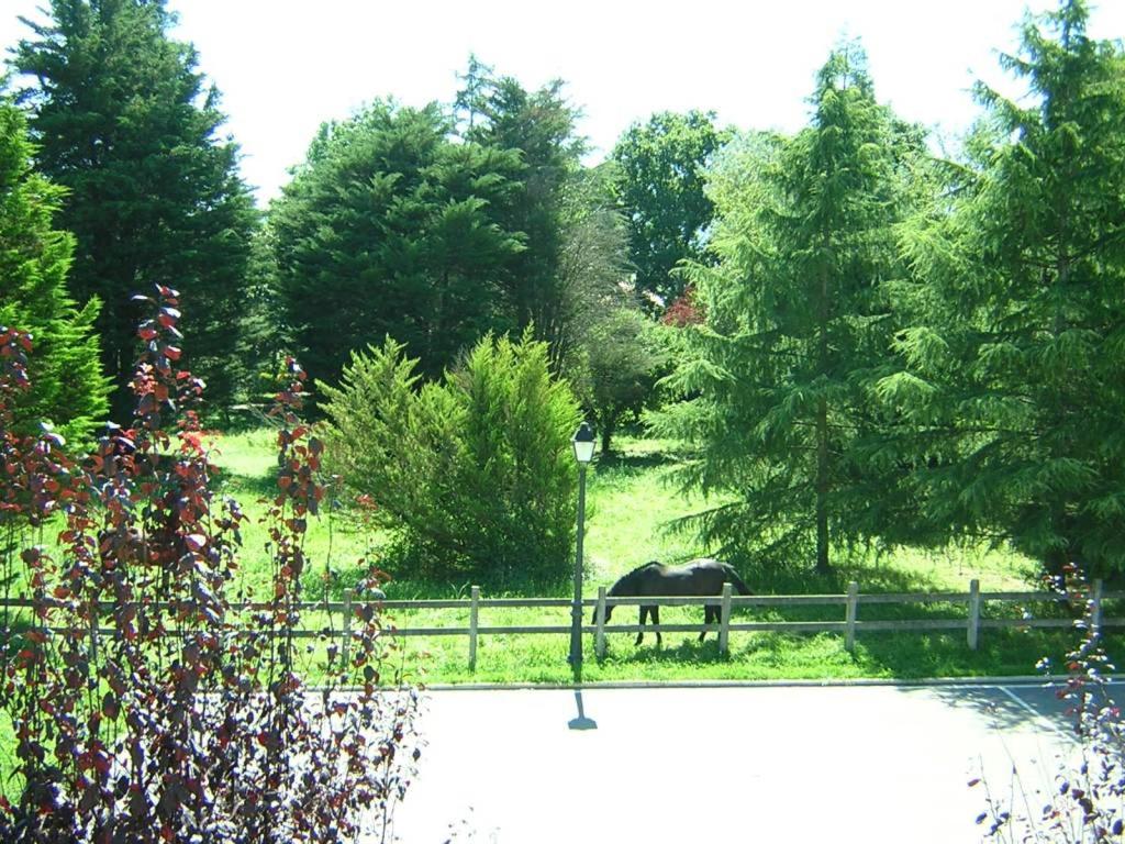 Posada Casa de Julia - Housity