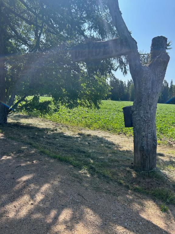 a tree with a sign on it next to a field at Denderi in Vaidava