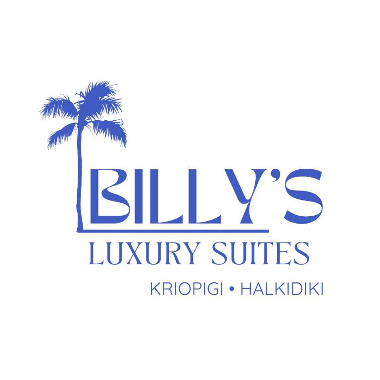 Certifikát, hodnocení, plakát nebo jiný dokument vystavený v ubytování Billy's Luxury Suites - 1 by Booking Kottas - Kriopigi