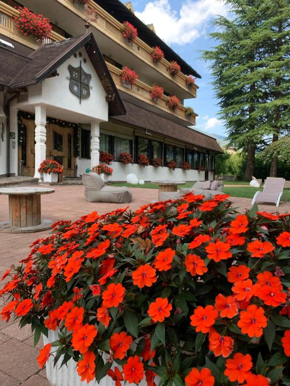 a bunch of orange flowers in front of a building at Rauzi Hotel Garnì & apartments in Malè