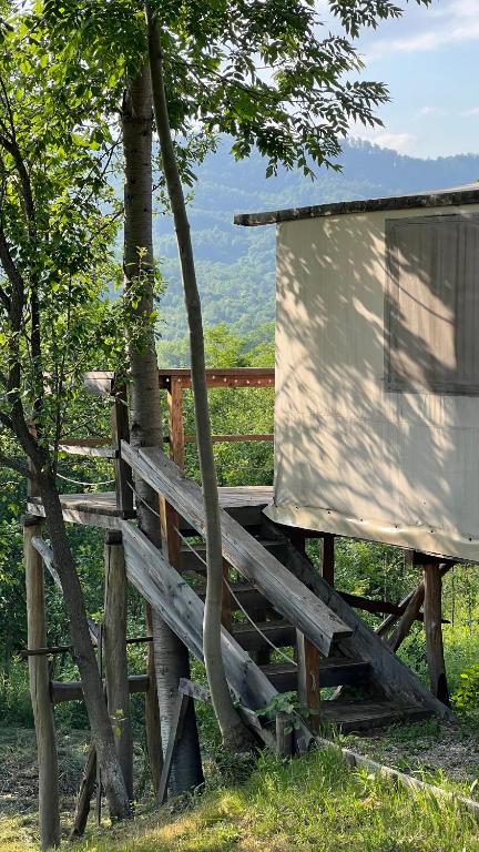 Mesteceni Glamping