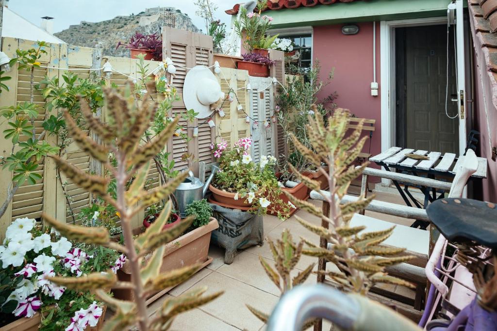 Amymone and Adiandi - Resim 8