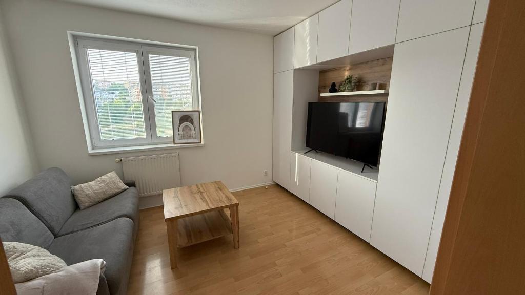 TV a/nebo společenská místnost v ubytování AMG apartment Východná