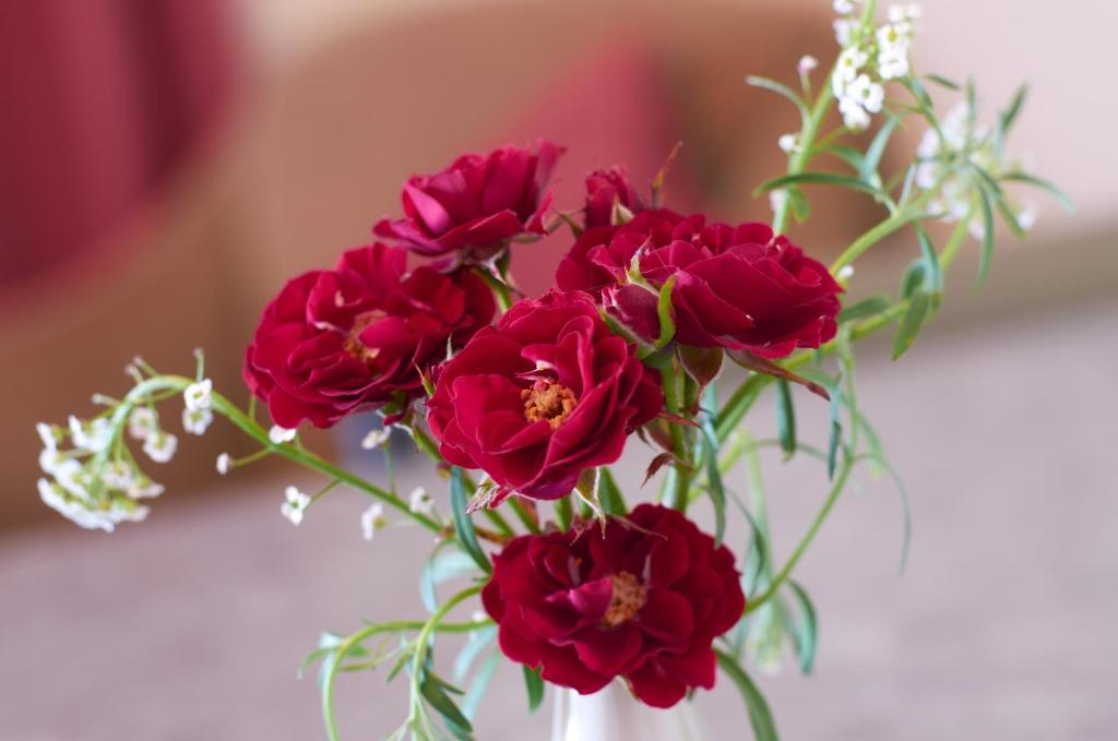 Bavarian Motel - Resim 25