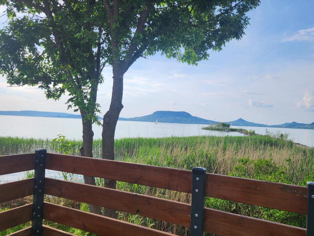 una panchina di legno seduta accanto a un lago di Ház a szígeten a Fonyód
