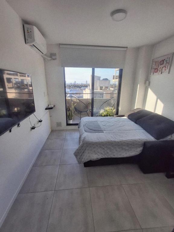 Monoambiente Avis III