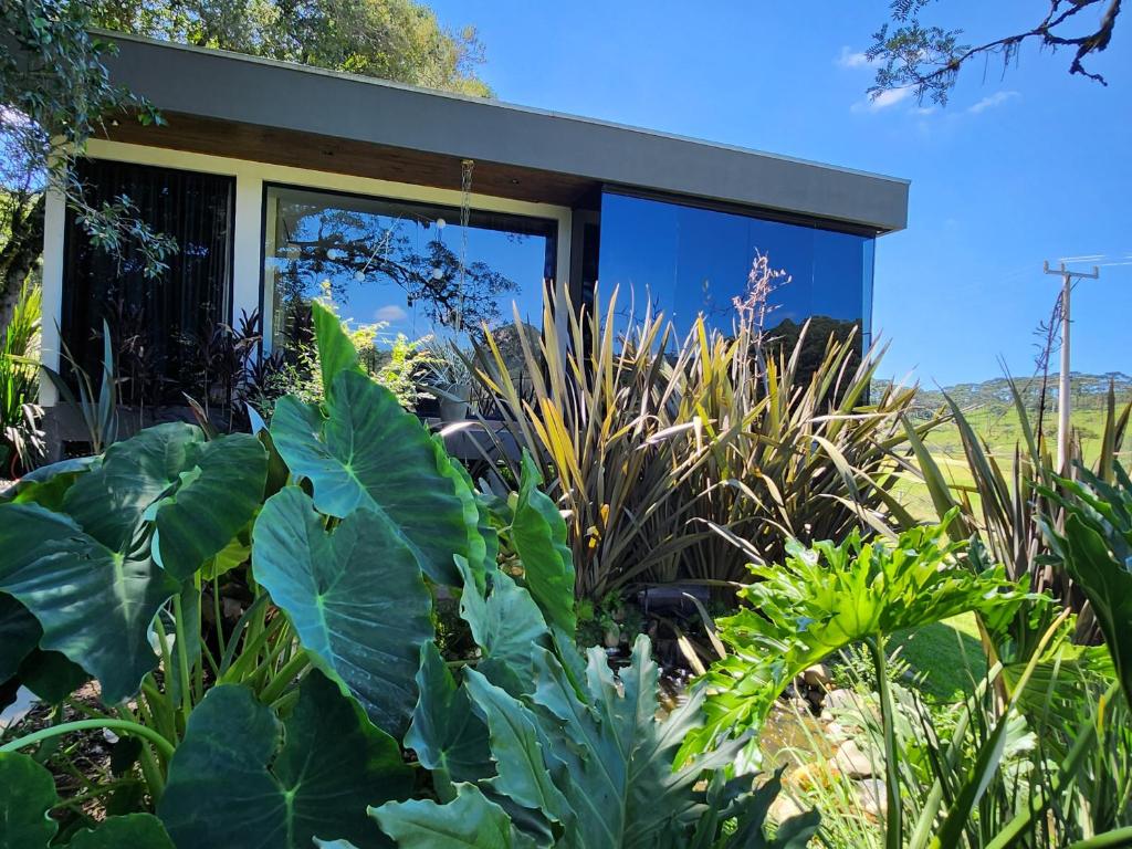 a house with large green plants in front of it at Cabana QUARTZO- Vista para PONTO TURISTIC0 Pedra Morro do Campestre- ACESSO até a cabana asfaltado in Urubici
