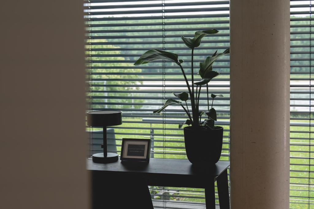 NOOQA - Villa RHEINLOFTS - Resim 29