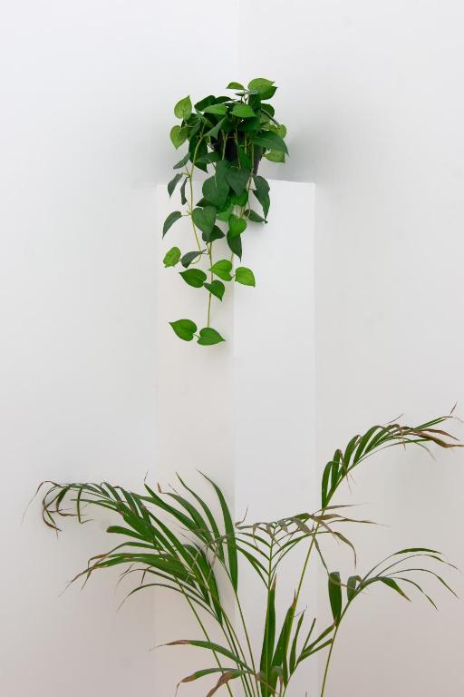 Hotel Palas Grand View - Resim 23