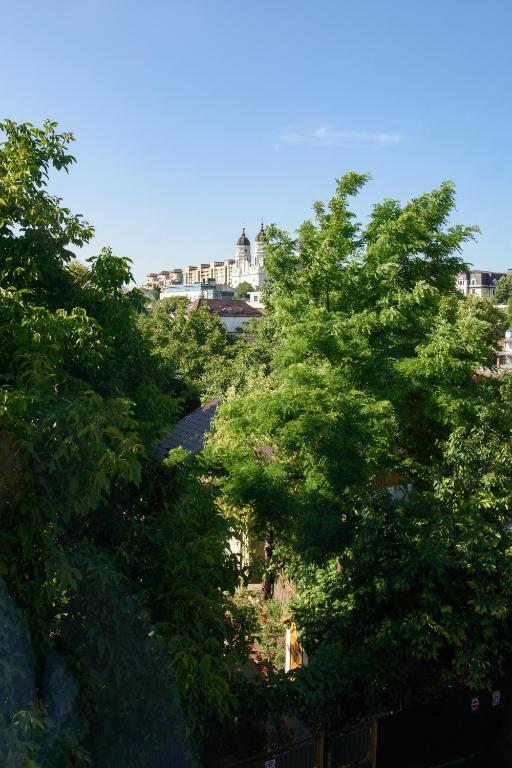 Hotel Palas Grand View - Resim 21