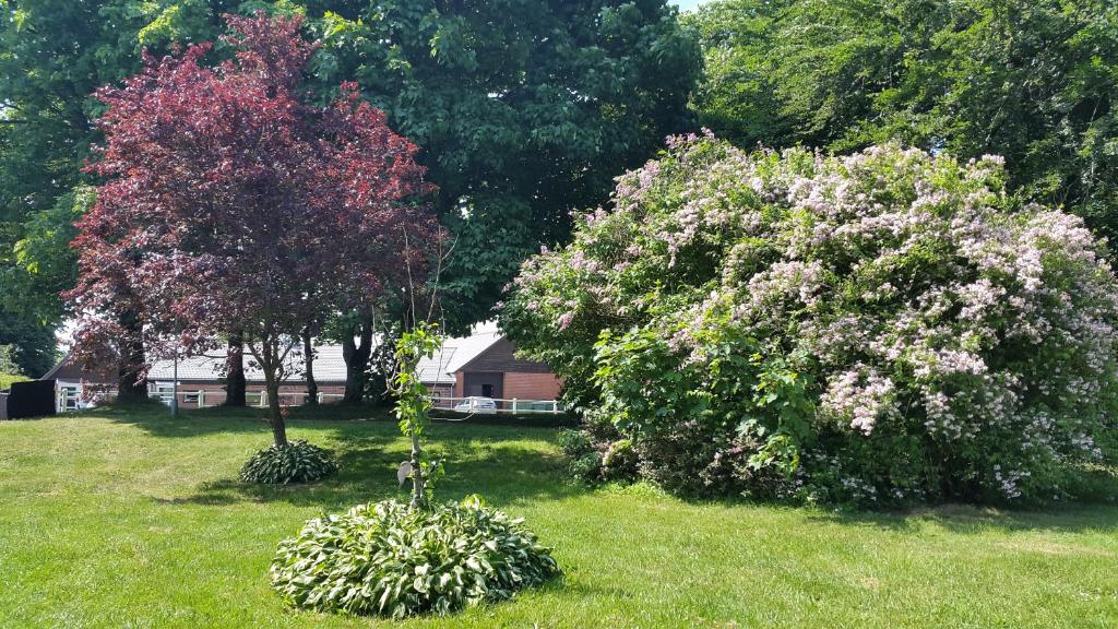 dos árboles florecientes en un patio con una casa en el fondo en Billund Farm Holiday, en Billund