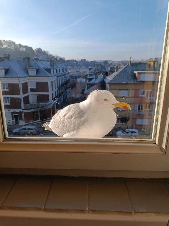 Foto de la galeria de L'amoureuse a Saint-Valéry-en-Caux
