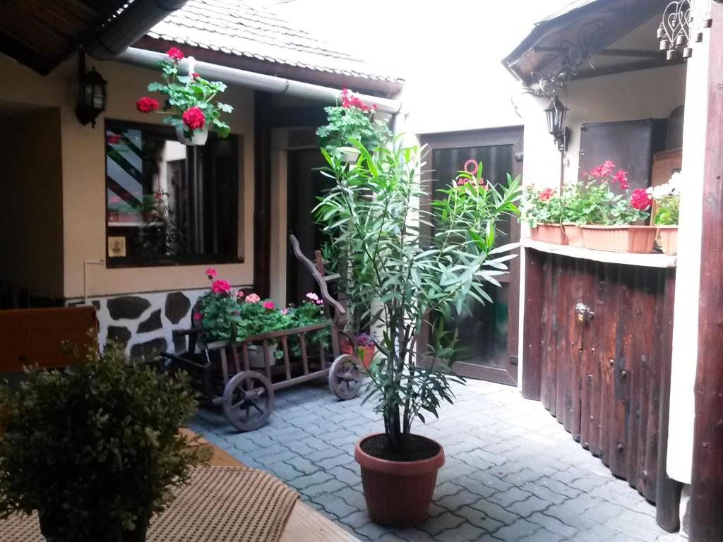 Zahrada ubytování Casa Veche