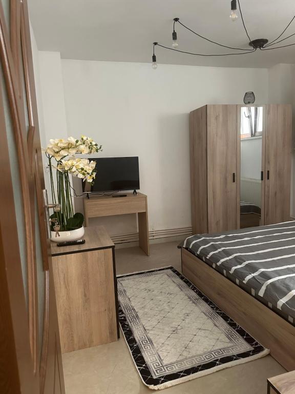 Ένα ή περισσότερα κρεβάτια σε δωμάτιο στο Apartament Baba Novac