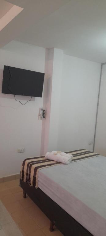 een slaapkamer met een bed en een tv aan de muur bij Amador Lucero apart II in San Miguel de Tucumán