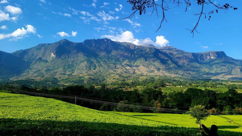 Foto dalla galleria di Mulanje Vista House a Mulanje