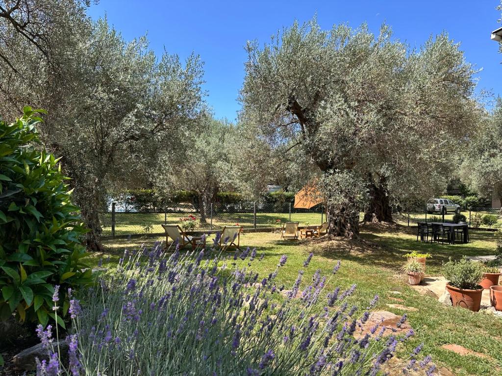 Gallery image of La Laguna Boutique Apartments in Bar