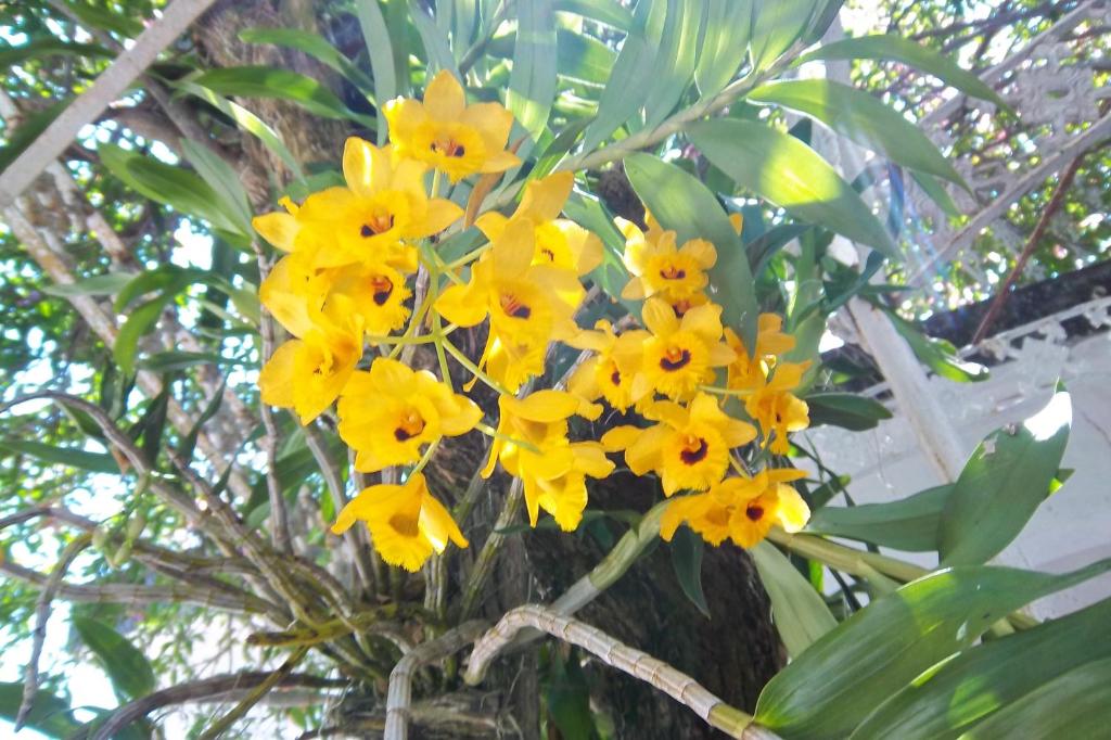  Pousada do Mendonça
