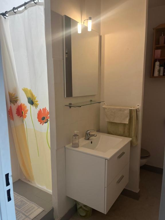 a white bathroom with a sink and a mirror at Appartement T2 tout équipé in Port Leucate
