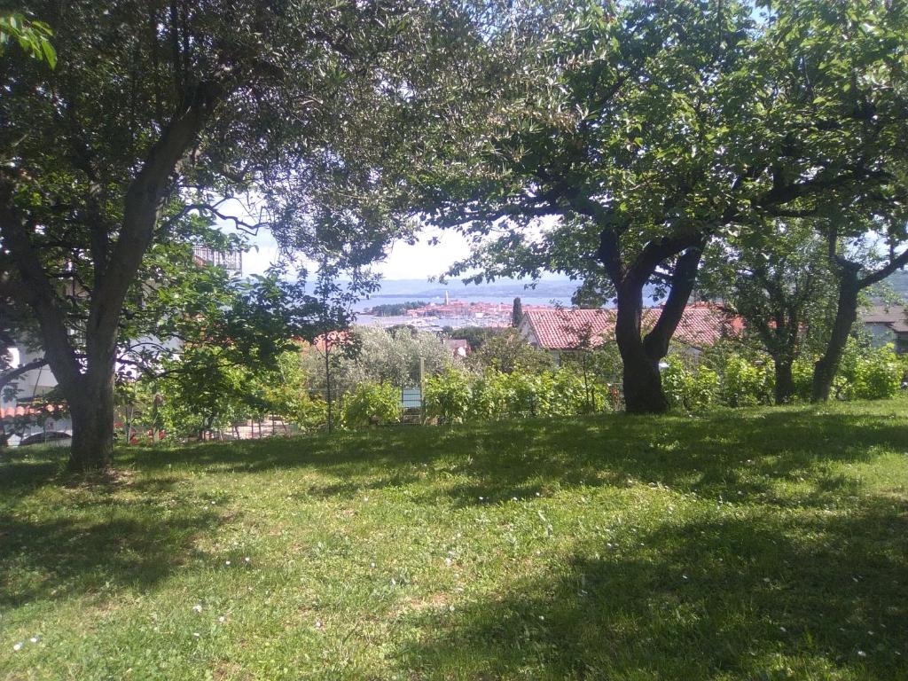 a grassy field with trees and a view of a city at Apartment Jasmine in Izola
