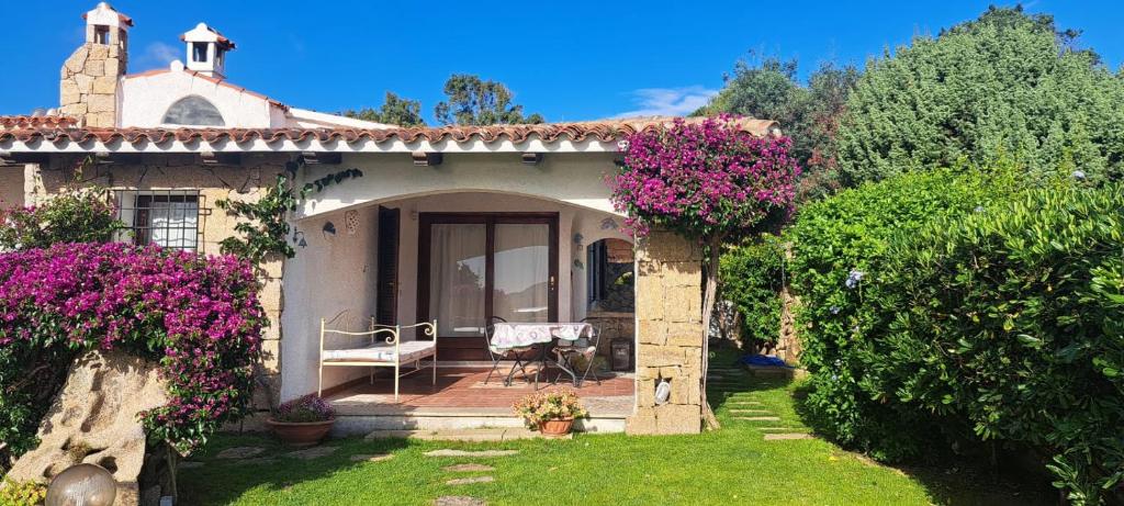 una casa con fiori viola nel cortile anteriore di Lupo 1 a Cannigione