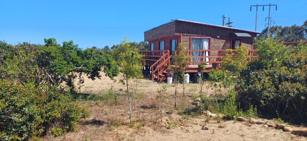 una cabaña de madera en medio de un campo en Cabaña Tunquen, en Tunquén