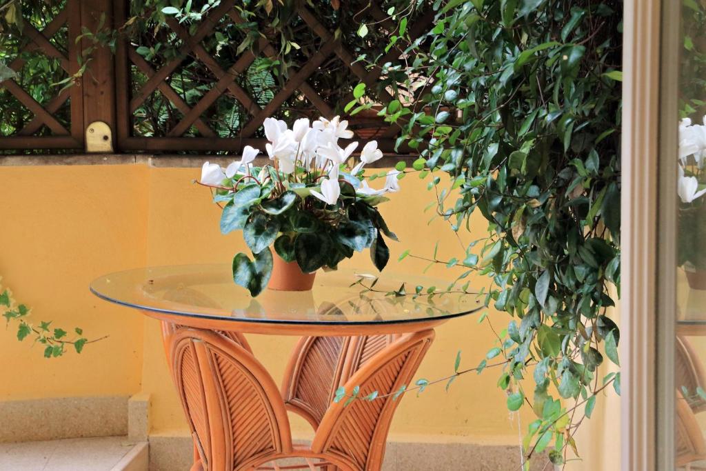 Cancelleriadieci - One-Bedroom Apartment With Terrace