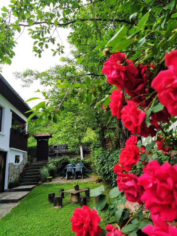 En have udenfor Къщи за гости Костови