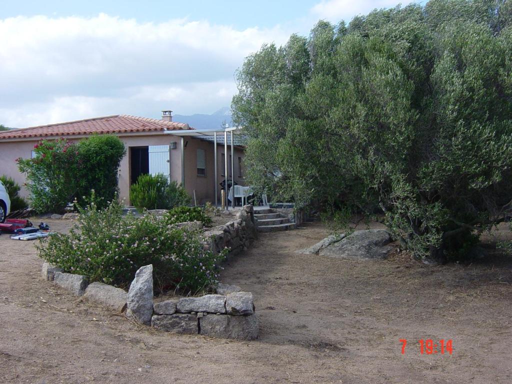 une maison avec un arbre à côté d'une cour dans l'établissement Tozzasim, à Pianottoli-Caldarello