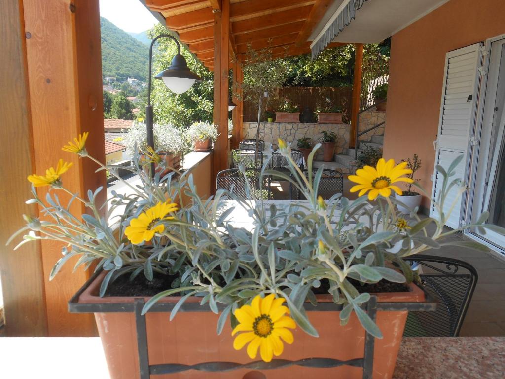 um grande vaso de flores amarelas num pátio em Rooms Irena Gregov em Mošćenička Draga