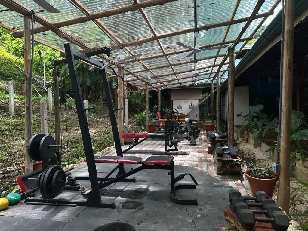 Fitness centrum a/nebo fitness zařízení v ubytování Jungle's Edge