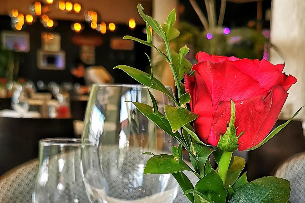Nápoje v ubytování Kafana Zlatna Ribica