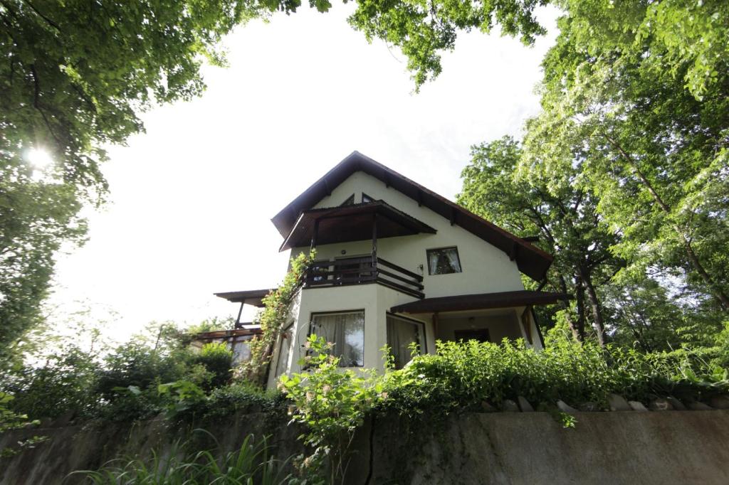 a house on top of a retaining wall at Casa Mariei - Vila Breaza in Nistoreşti