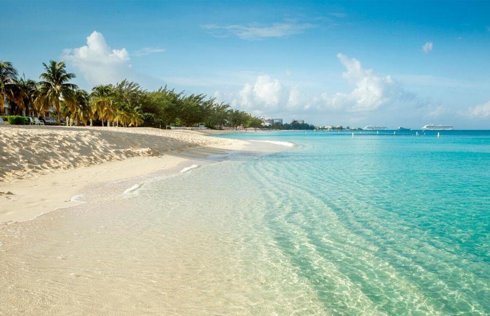 una playa con palmeras y el océano en Migos, 