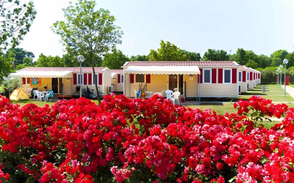 a group of houses with red flowers in front of them at Mobilehomes in Sirmione - Gardasee 22177 in Sirmione