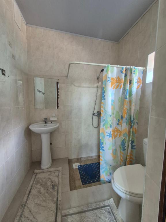 un bagno con doccia, WC e lavandino di Podsolnukhi Guest House a Cholpon-Ata
