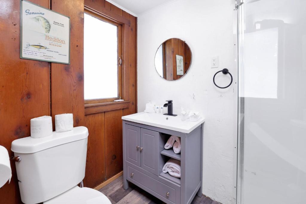 a bathroom with a toilet and a sink and a mirror at Big pines #103 in Big Bear Lake