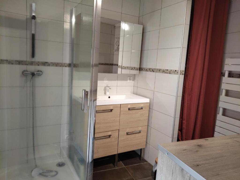 a bathroom with a shower and a sink and a shower at Appartement spacieux en centre ville de Besse in Besse-et-Saint-Anastaise