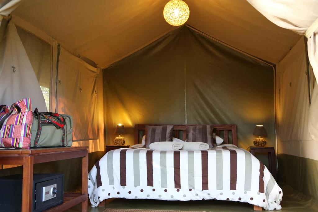 Wildebeest Eco Camp - Double Or Twin Tent