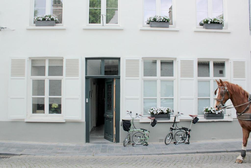 a horse standing in front of a building with two bicycles at B&B Alphabet - Luxury Guesthouse and Art Gallery in Bruges