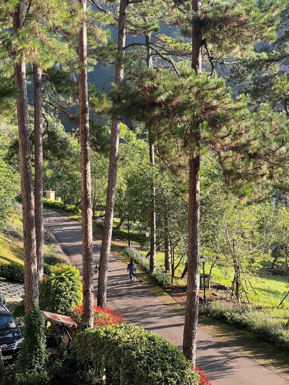 eine Person, die mit dem Fahrrad einen von Bäumen gesäumten Weg entlang fährt in der Unterkunft Lan Anh Villas Resort in Da Lat