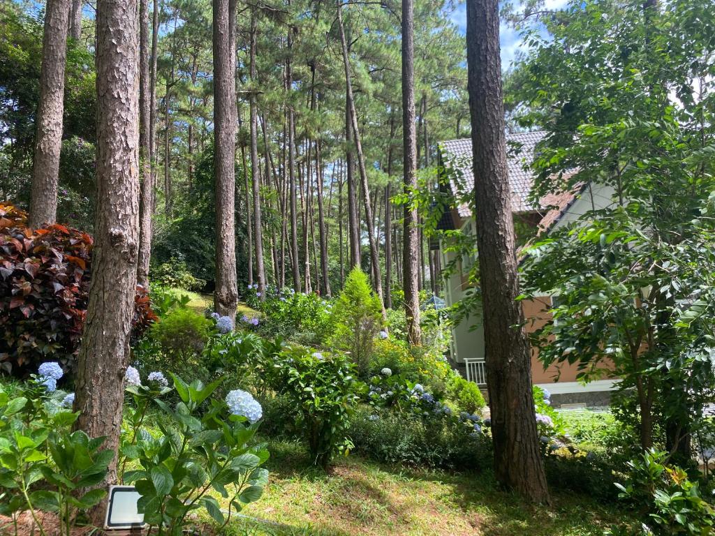 ein Garten im Wald mit Bäumen und Blumen in der Unterkunft Lan Anh Villas Resort in Da Lat