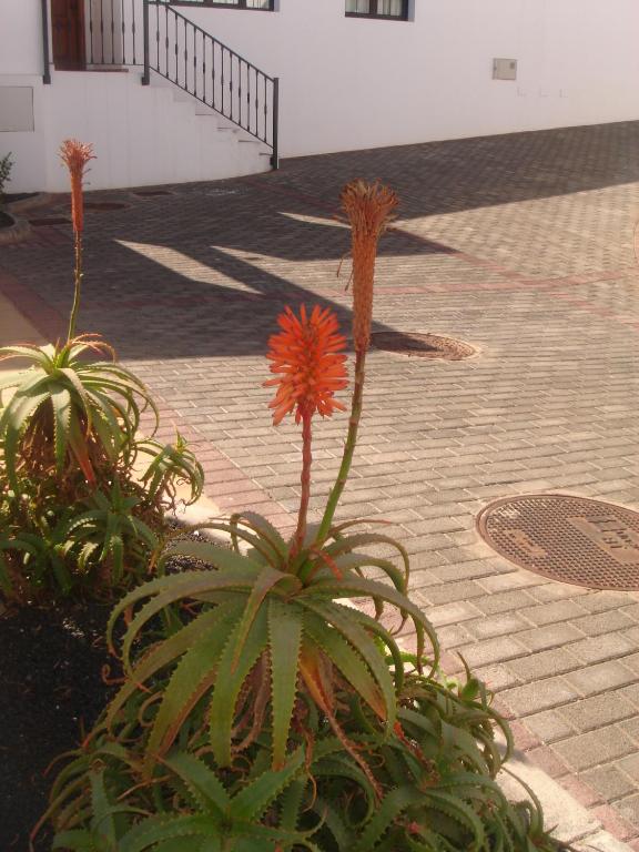 Fotografie z fotogalerie ubytování Villas Salinas de Matagorda v destinaci Puerto del Carmen