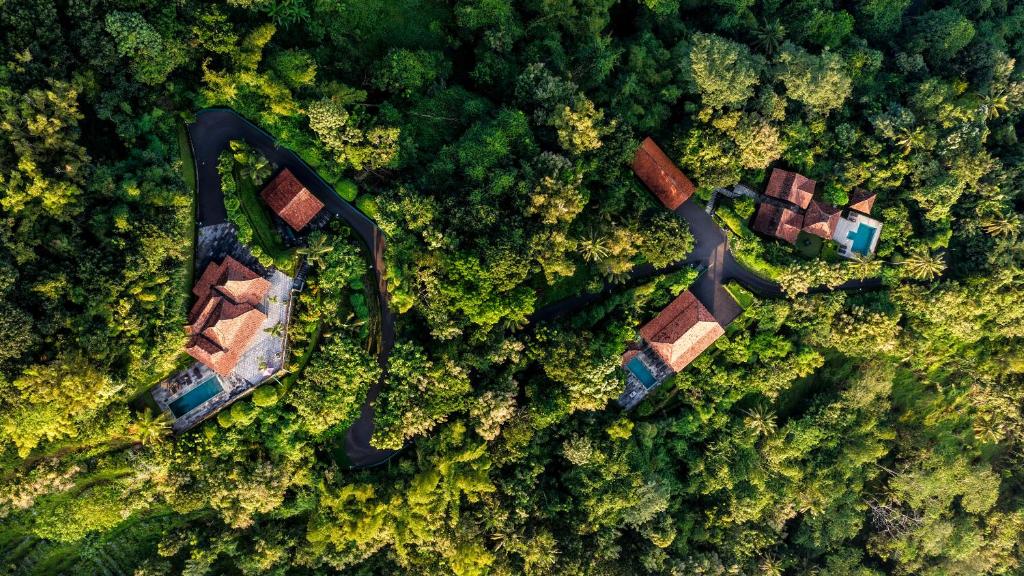 Villa Borobudur Resort - 7